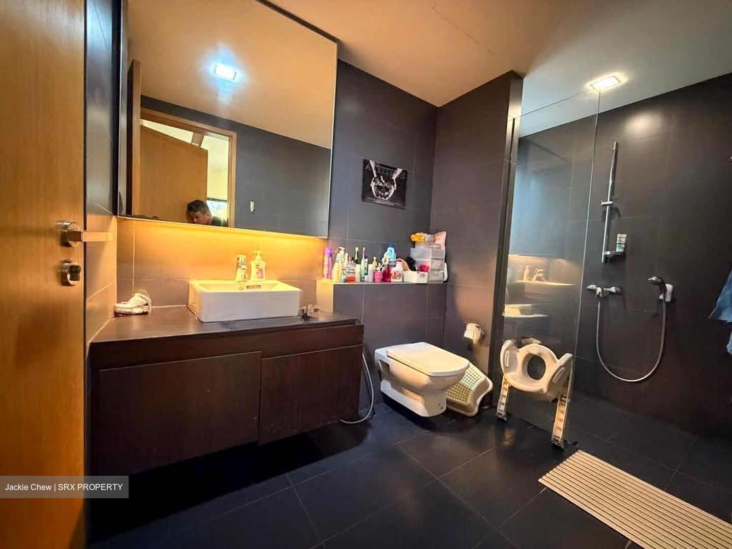 Meadows @ Peirce (D26), Condominium #612460961